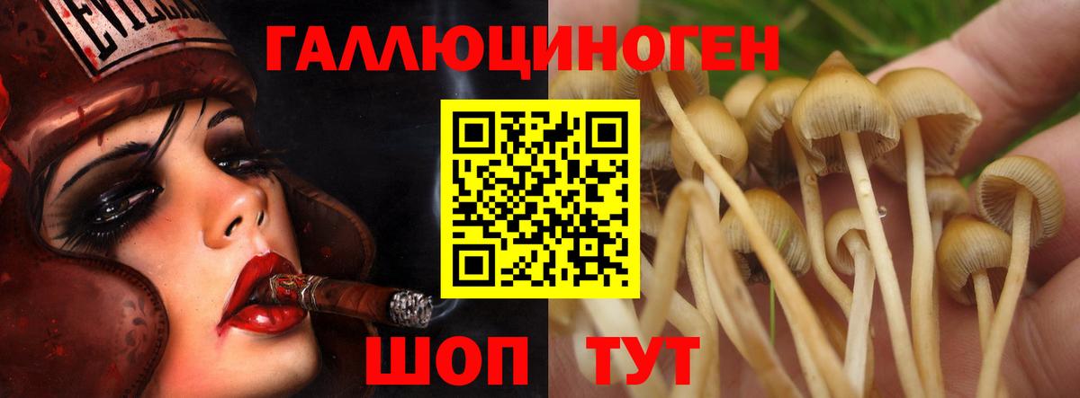 Псилоцибиновые грибы прущие грибы Дмитров